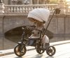 Qplay Rowerek Trójkołowy Comfo Max Coffee