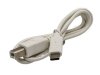 Keyboard Organy 61 Klawiszy Zasilacz MK-816 Z Funkcją Nauki Gry