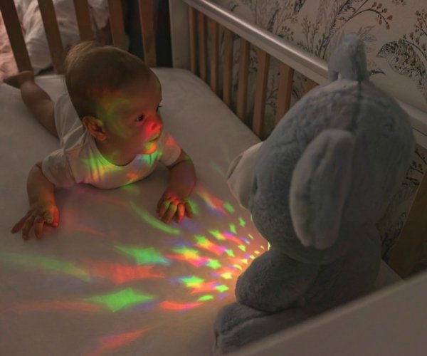 Milly Mally Zabawka pluszowa z Projektorem Milly Bear Blue