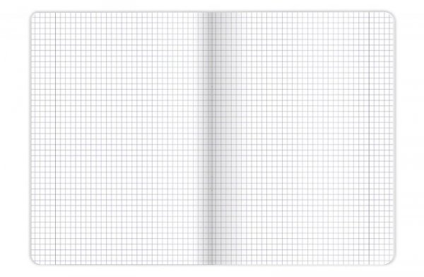 Zeszyt A5 80k kratka margines ESSE 400174955 OXFORD