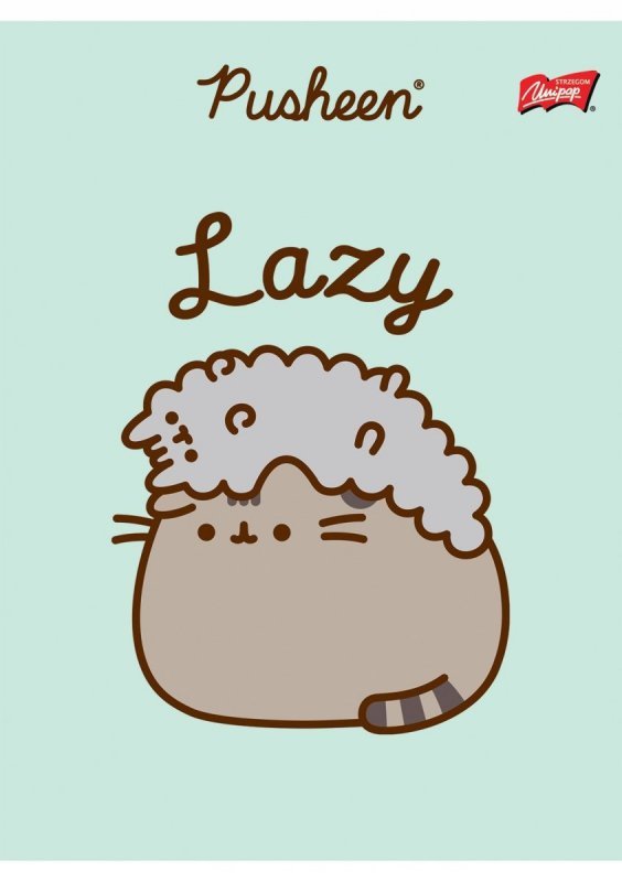 Zeszyt szkolny A5 32 kartki w 3 linie kolorową laminowany PUSHEEN ST.MAJEWSKI
