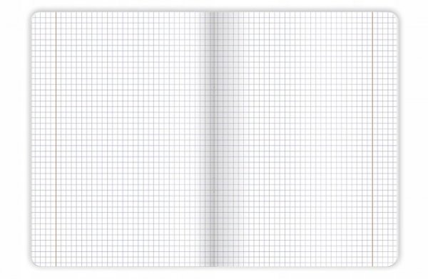 Zeszyt A5 60k kratka margines BIRDS EYE 400182435 TOP 2000