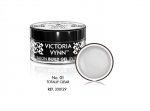 Victoria Vynn Build Gel Totally Clear No.01 15 ml 