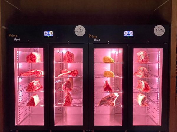 Szafa do sezonowania Klima Meat SYSTEM | ZERNIKE | KMS1500PVB