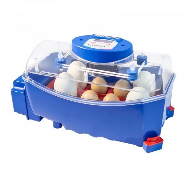 Inkubator do jaj - 8 jaj - dystrybutor wody - automatyczny BOROTTO 10370010 LUMIA 8 AUTOMATIC