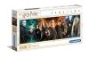 Harry Potter - Puzzle Panorama 1000 el. Czarodzieje