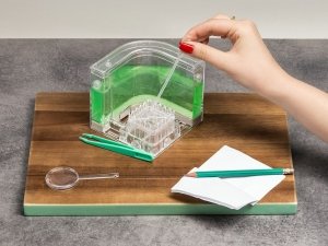 Akwarium dla mrówek DELUXE - podświetlane led zielone 