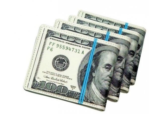 Dolarowy portfel - plik banknotów