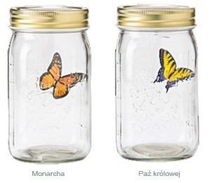 Motyl w słoiku - Monarcha