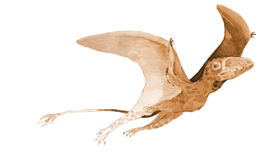 First Giants: Muzeum paleontologiczne - gra planszowa