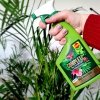 Compo wielofunkcyjny spray do roślin żywych 