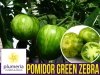 Pomidor Green Zebra zielony w paski 