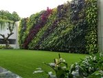 Ogrody wertykalne - zielona ściana na balkonie i tarasie.