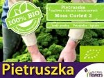 BIO Pietruszka naciowa MOSS CURLED 2 nasiona ekologiczne 3g