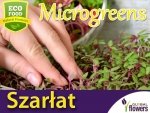 Microgreens - Szarłat jadalny 2g