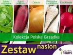 Kolekcja Warzyw Polska Grządka (zestaw 5 warzyw)