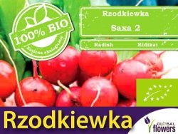 BIO Rzodkiewka SAXA 2 nasiona ekologiczne 5g
