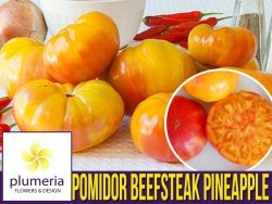 Pomidor BEEFSTEAK PINEAPPLE (Lycopersicon Esculentum) 