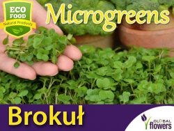 Microgreens - Brokuł 3g