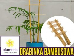 Drabinka Bambusowa - podpora do roślin 90 cm - 1 szt.