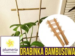 Drabinka Bambusowa - podpora do roślin 45 cm - 1 szt.