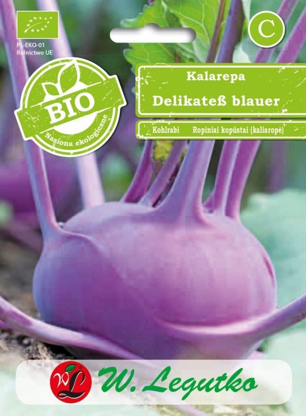 Kalarepa Delikatess blauer nasiona
