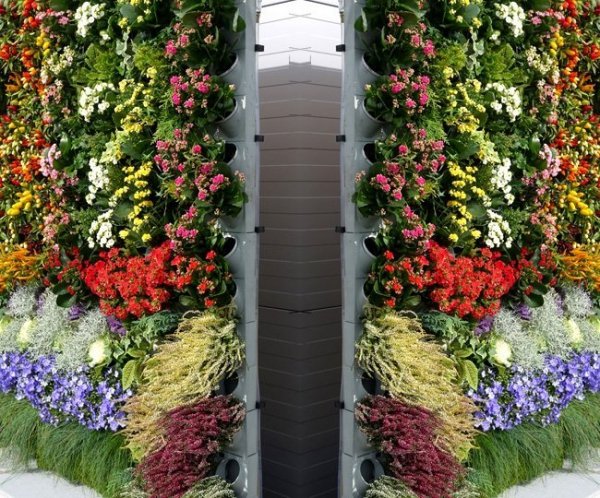 innowacyjny system ścian z kwiatami