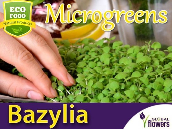 Microgreens - Bazylia Cytrynowa Mrs Burns 3g