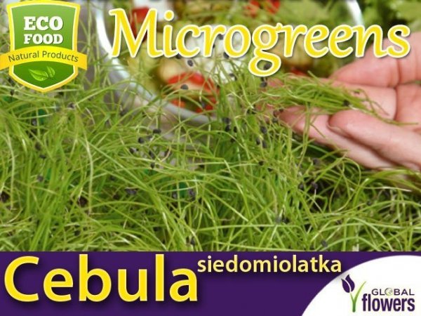 Microgreens - Cebula siedmiolatka 4g