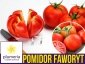 Pomidor FAWORYT Wielkie Owoce (Lycopersicon Esculentum) nasiona 0,75g 