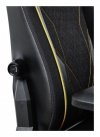 Fotel gamingowy Trust GXT721 Ruya Pro Premium Black