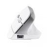 Mysz Trust BAYO II ERGONOMIC WIRELESS White