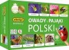 Adamigo Gra Owady i pająki Polski memory