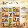 Nasza księgarnia Gra Ekosystem 3 - Sawanna