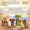 Nasza księgarnia Gra Ekosystem 3 - Sawanna