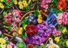 Trefl Puzzle 2x500 elementów Prace w ogrodzie