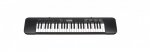 CASIO CTK-240 - Keyboard