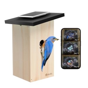 Birdfy House Ebony - budka lęgowa dla ptaków z kamerą