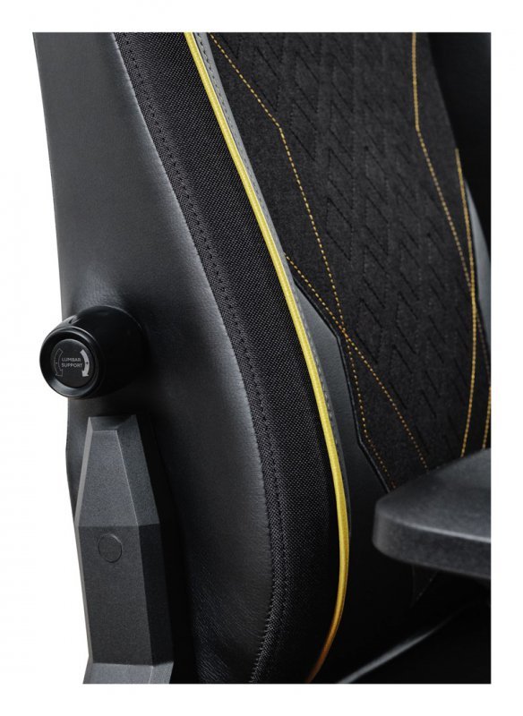 Fotel gamingowy Trust GXT721 Ruya Pro Premium Black