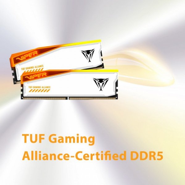 Patriot Pamięć DDR5 Viper Elite 5 RGB TUF 32GB/6000 (2x16GB) CL36