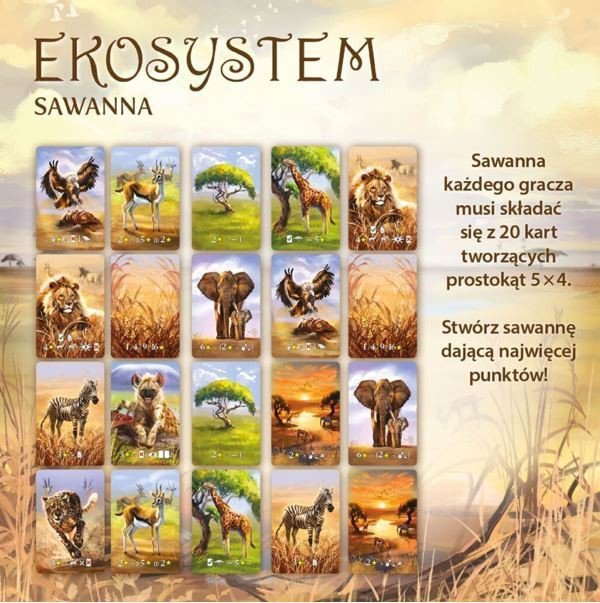 Nasza księgarnia Gra Ekosystem 3 - Sawanna