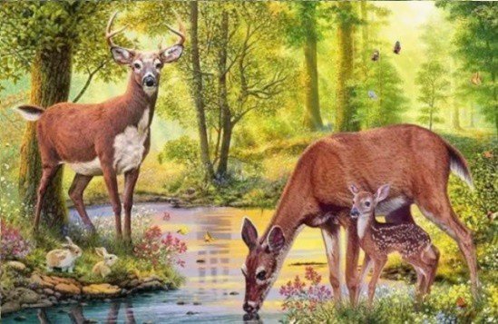 Norimpex Diamentowa mozaika - Jelenie nad strumieniem