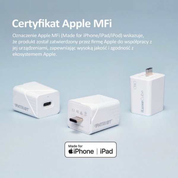 Patriot iLuxe Cube C 256GB USB 3.2 Gen 1 Type C