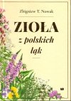 Zioła z polskich łąk