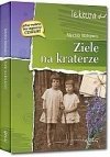 Ziele na kraterze z oprac. GREG