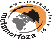 Metamorfoza