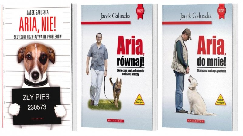 Aria Nie Aria Do Mnie Aria Równaj
