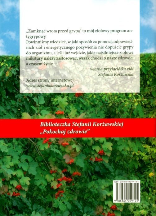 Zamknąć wrota przed grypą