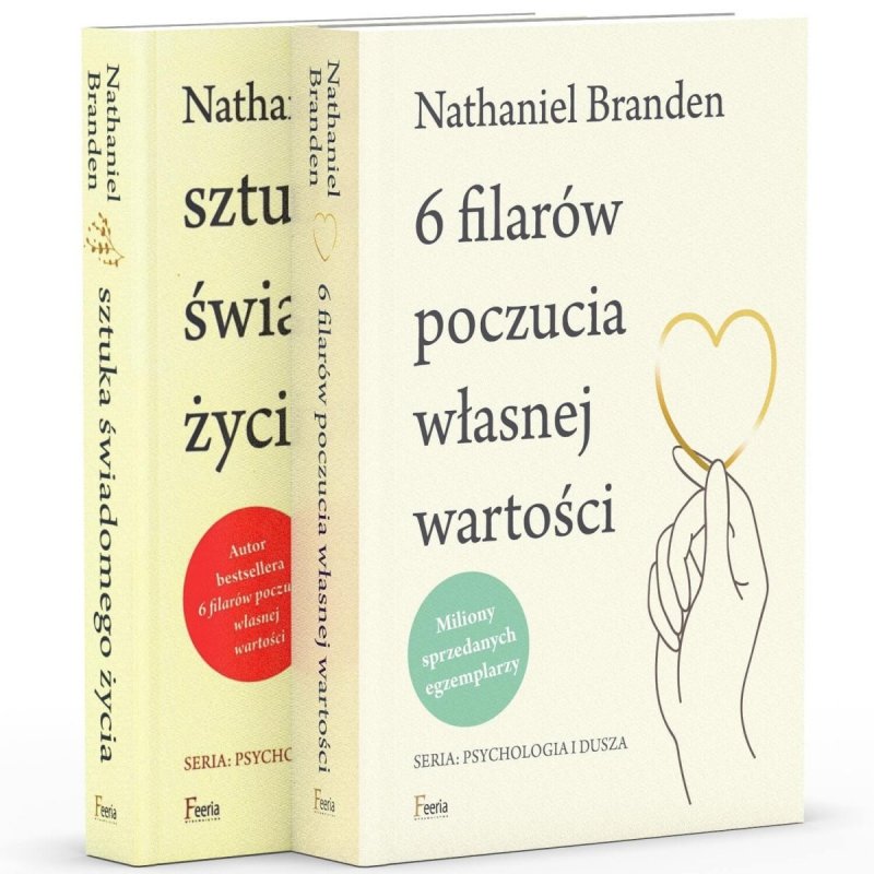 6 filarów poczucia własnej wartości Sztuka świadomego życia6 filarów poczucia własnej wartości Sztuka świadomego życia