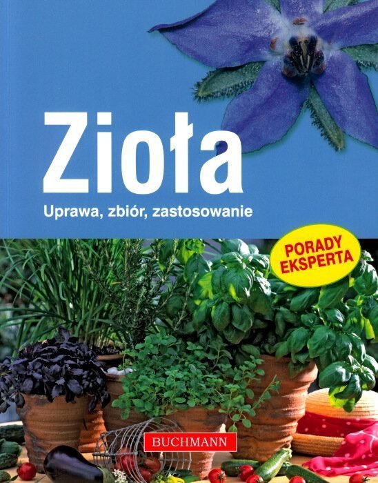 Zioła uprawa zbiór zastosownie